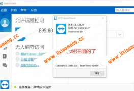 超强远程控制软件Teamviewer破解版