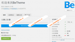 WordPress 主题 Betheme16.X 版本 自带两百多模板+幻灯片+PSD+教程