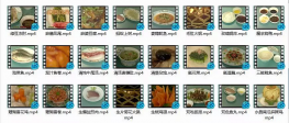 八大菜系视频教程——川菜