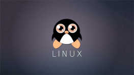 [Linux] Linux运维基础进阶和shell入门视频 28集 输入输出和管道、重定向讲解 文本处理vim用法