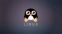 [Linux] Linux运维基础进阶和shell入门视频 28集 输入输出和管道、重定向讲解 文本处理vim用法